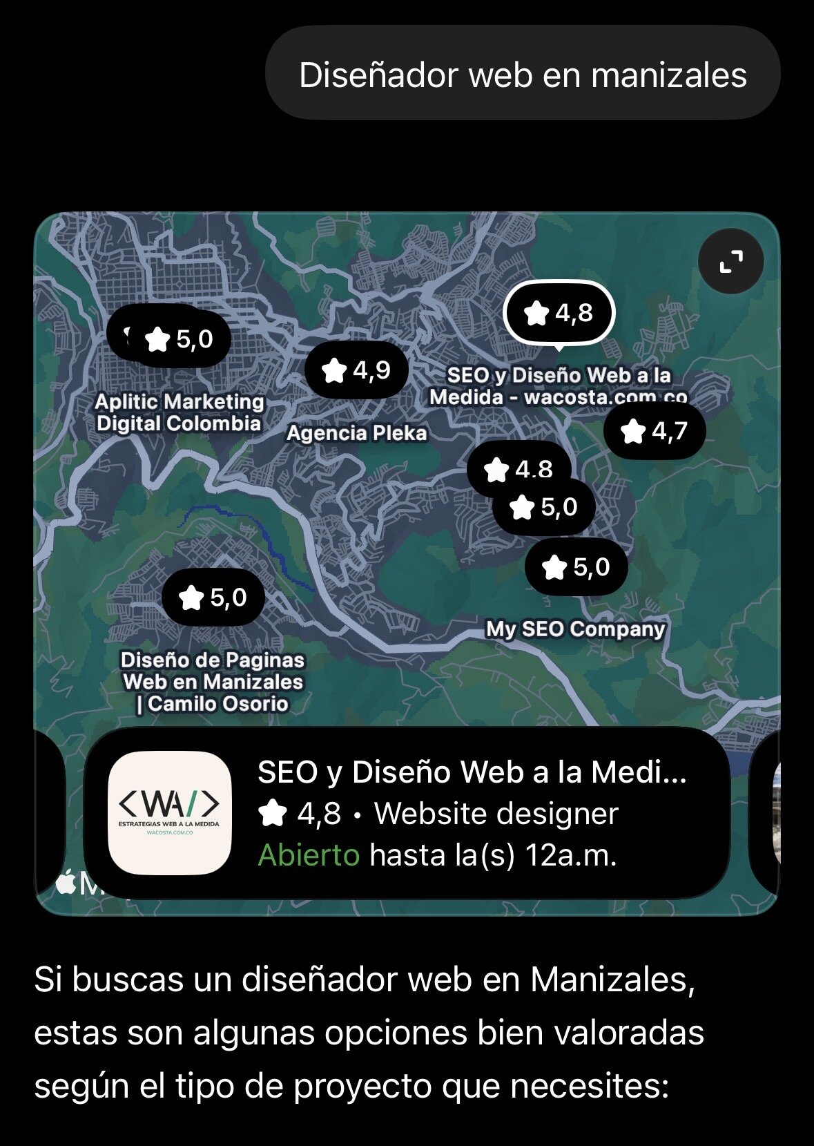 ChatGPT recomienda a SEO y Diseño Web a la Medida cuando alguien busca diseñador web en Manizales