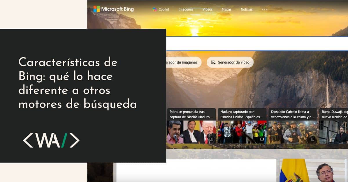 caracteristicas de bing